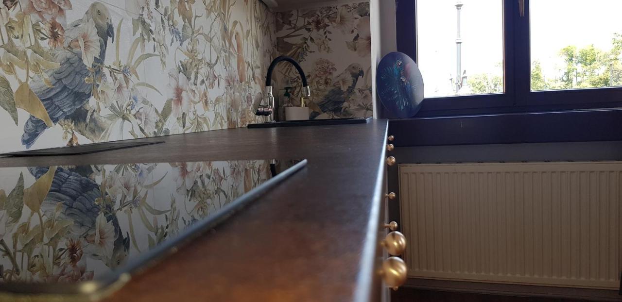 Astronomiczny Apartament , Mieszkanie 2 Pokojowe. Parking. Stary Toruń Esterno foto